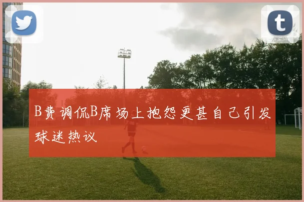 B费调侃B席场上抱怨更甚自己引发球迷热议