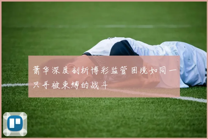 萧华深度剖析博彩监管困境如同一只手被束缚的战斗