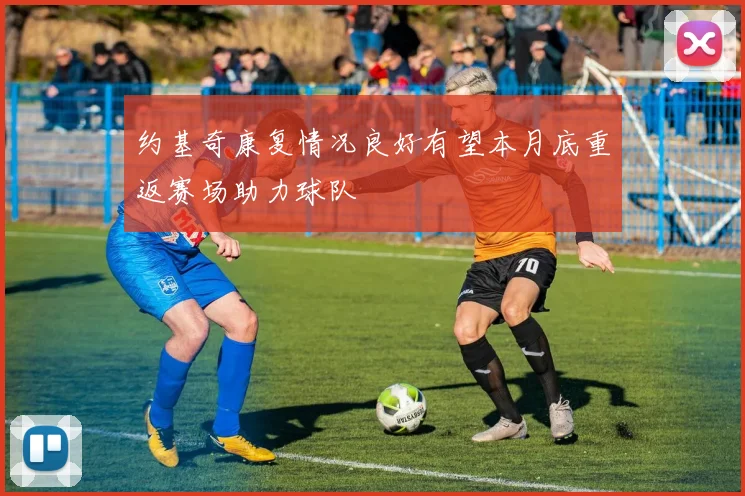 约基奇康复情况良好有望本月底重返赛场助力球队