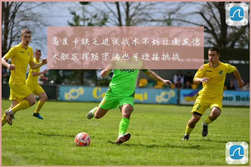 乌度卡缺乏进攻战术不妨让谢泼德大胆发挥防守端也可迎接挑战