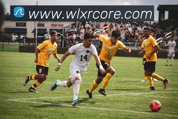 威廉希尔平台生态图