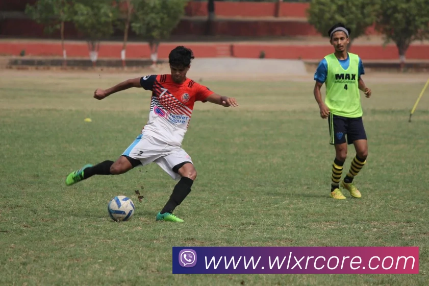 威廉希尔APP 封面图